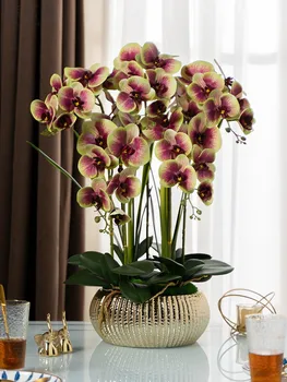 1 Nastavte Orchidey Usporiadanie Skutočný Dotyk Veľká Veľkosť Luxusné Tabuľka Kvet Krásny Farebný Domov Hotel Dekor Č Váza 38969