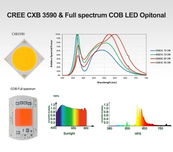 3500K CREE CXB3590 LED & SAMSUNG LM301B & LÚMENOV KLASU Rásť Svetlo celé Spektrum 100W 300W 200W 400W Krytý stan výsadbu svetlo