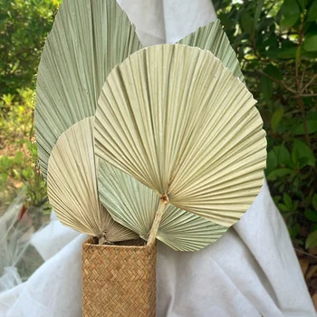 Camping Suché Kvety Palm Fanúšikov Leaf Sušené Prírodných Rastlinných Palmové Listy Pre Party Art Nástenné Závesné Dekorácie Vonkajšie Nástroje