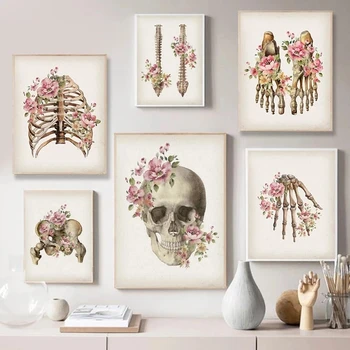Kostra Anatómie Plagát Lebky Ľudské Telo, Zdravotníckych, Anatómia Systém Plátno Na Stenu Art Print Plátno Na Maľovanie Obrazu Klinike Domova 4021