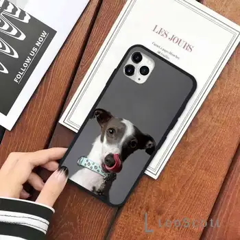 Roztomilý Galgo Greyhound Pes, pet Telefón puzdro pre iPhone 11 12 pro XS MAX 8 7 6 6 Plus X 5S SE 2020 XR 889