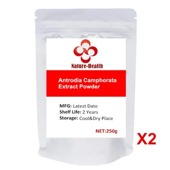 Čistý Antrodia Camphorata/Niu Zhang Zhi Extrakt, Prášok 60% Polysacharid