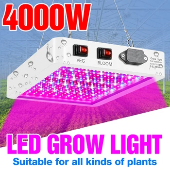 5000W Rásť Osvetlenie celého Spektra LED Svetlo 220V Phytolamps Pre Sadenice 4000W Skleníkových Hydroponické Žiarovka Rast Stan Fitolampy