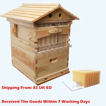 Drevené Bee Box Automatické Dom Bee Drevené Okno s 7pcs Rámy Med Zber Včelárskych Zariadení Včelár Nástroj Vysokej Kvality
