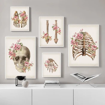 Kostra Anatómie Plagát Lebky Ľudské Telo, Zdravotníckych, Anatómia Systém Plátno Na Stenu Art Print Plátno Na Maľovanie Obrazu Klinike Domova