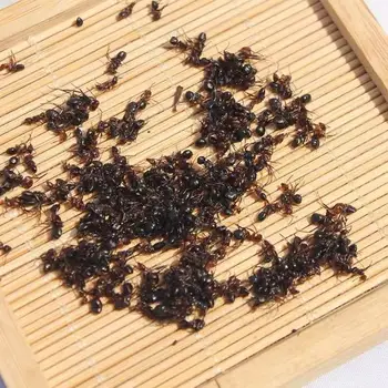 Vysoko Kvalitnej Čistej Divoké Čierne Mravce, Hei Ma Yi