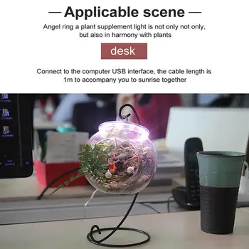 LED Rásť Svetlo Plný Phyto Rásť Lampa USB Phytolamp Pre Vnútorné Pre Rastliny, 5V Pre Rast Rastlín Lampy, Osvetlenie Rastlín N5L3