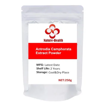Čistý Antrodia Camphorata/Niu Zhang Zhi Extrakt, Prášok 60% Polysacharid