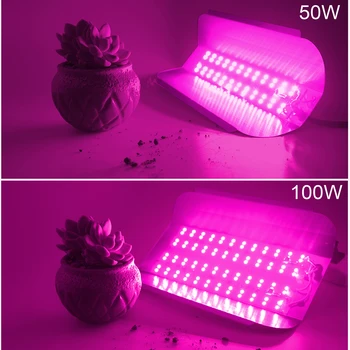 110V/220V LED Rásť Svetlo 50W/100W celé Spektrum Rastlín Lampy, Kvet, Ovocie, Zelenina Skleníkových
