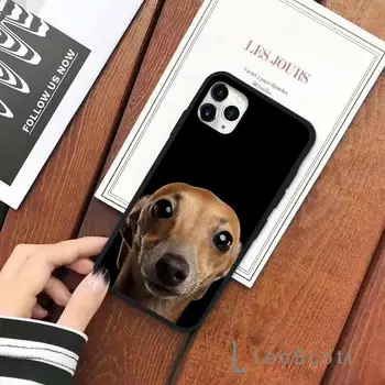 Roztomilý Galgo Greyhound Pes, pet Telefón puzdro pre iPhone 11 12 pro XS MAX 8 7 6 6 Plus X 5S SE 2020 XR