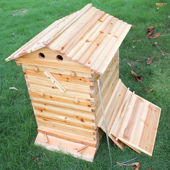 Drevené Bee Box Automatické Dom Bee Drevené Okno s 7pcs Rámy Med Zber Včelárskych Zariadení Včelár Nástroj Vysokej Kvality