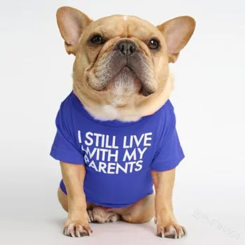 Pes, psie oblečenie Psa oblečenie francúzsky buldog pomeranian lete Psa T-shirt Multicolor Chihuahua Čistej bavlny móda