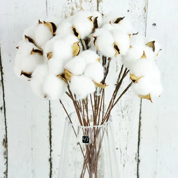 Prirodzene Sušené Bavlna Kvety Biele Umelé Kvetinový Pobočky Falošné Biely Kvet