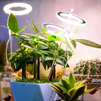 Led Rastlín Lampa pre Pestovanie Rastlín celé Spektrum Led Rásť Svetlá Izbové Rastliny Led Rásť Svetlá USB Phytolamp pre Sadenice Kvet