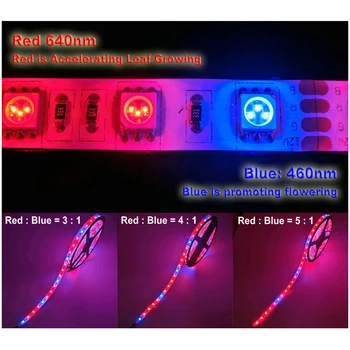 LED Rásť Svetla Strip Red Blue 3:1 4:1 5:1 DC12V DIY Flexibilné Rastúce Svetlo Pásky Pre emisie Skleníkových Hydroponické.