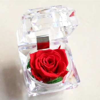 Večný Ruže Kvet Krúžok Box Svadobné Zapojenie Reálne Zachovaná Navždy Ruže Kvet Prípade Darček Šperky Zobraziť Držiak Na Okno